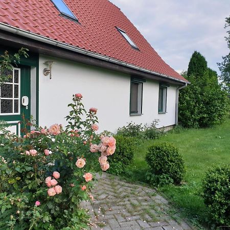 Oeko-Ferienhaus Rappin Exterior foto
